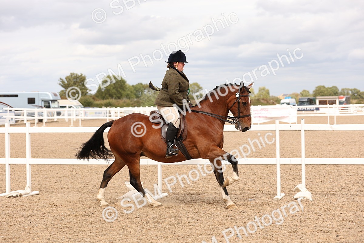 SBM_16544 - Class 212 - Ridden Hunter - Small