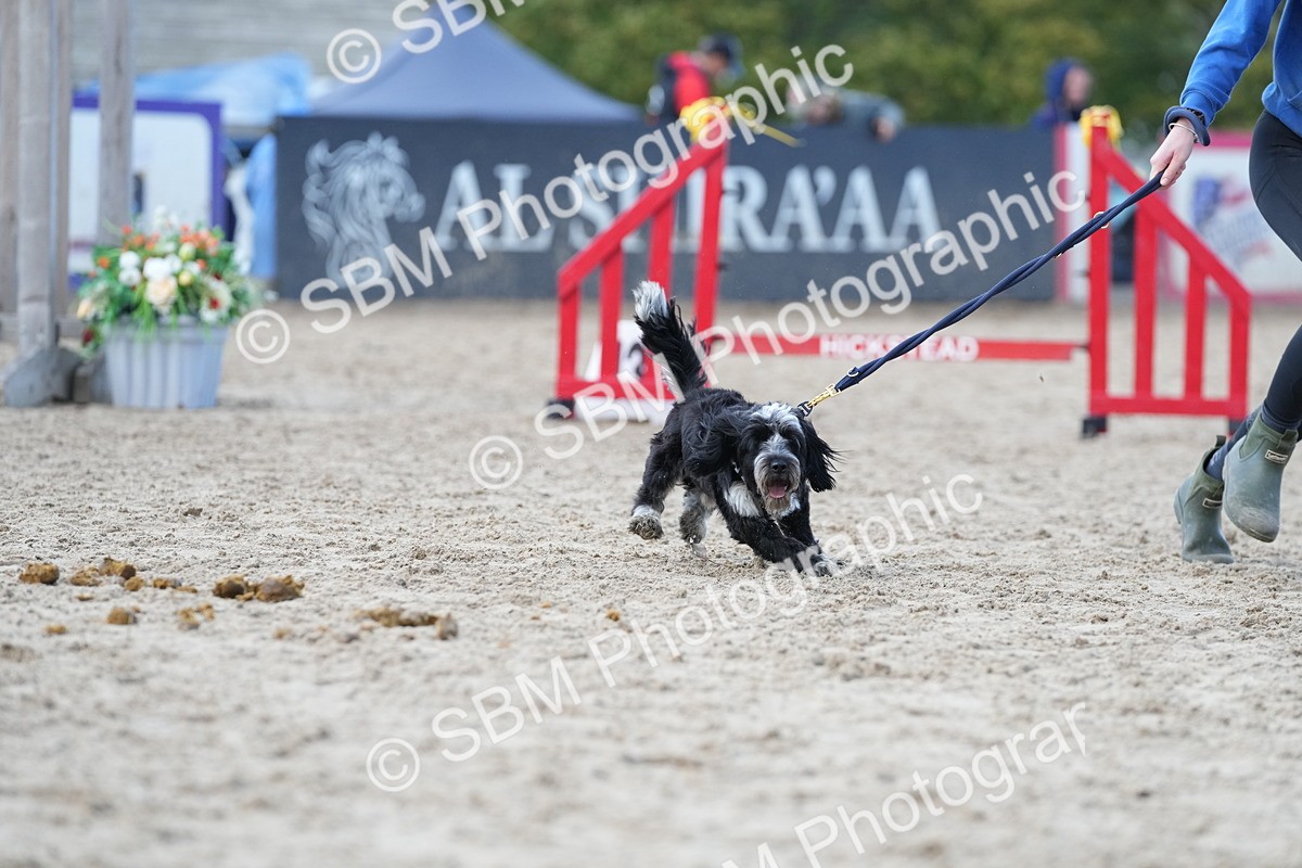 SBM_29186 - J43 - Horse & Hound Open 50cm