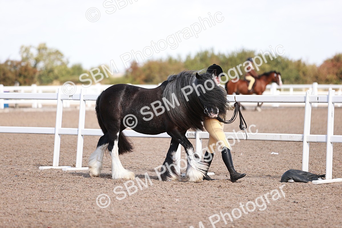 SBM_22943 - Class 707 - IH groom Helpers Class