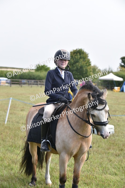 20250831-1890 - Class 9 - Absolute Novice 45cm