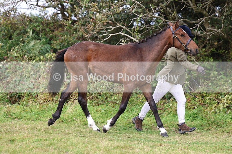 3E7A4086 - Class 15: Two Year Olds