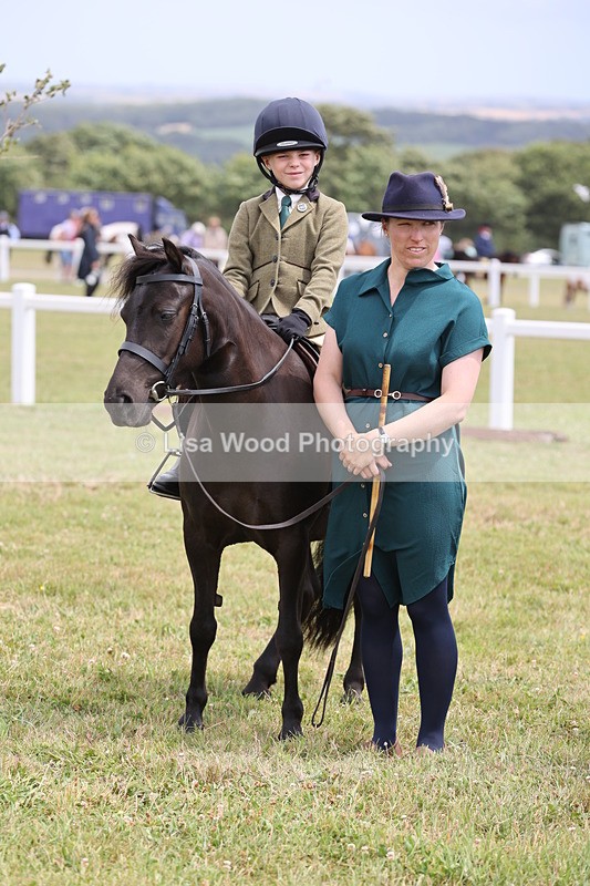 JPP_1968 - Class 18: Tiny Tots Working Hunter Pony