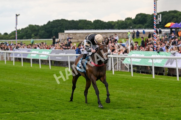 140624-Race 3-Alfa Kellenic-4321 - Race 3 3.00pm British EBF Supporting Racing With Pride Fillies' Handicap