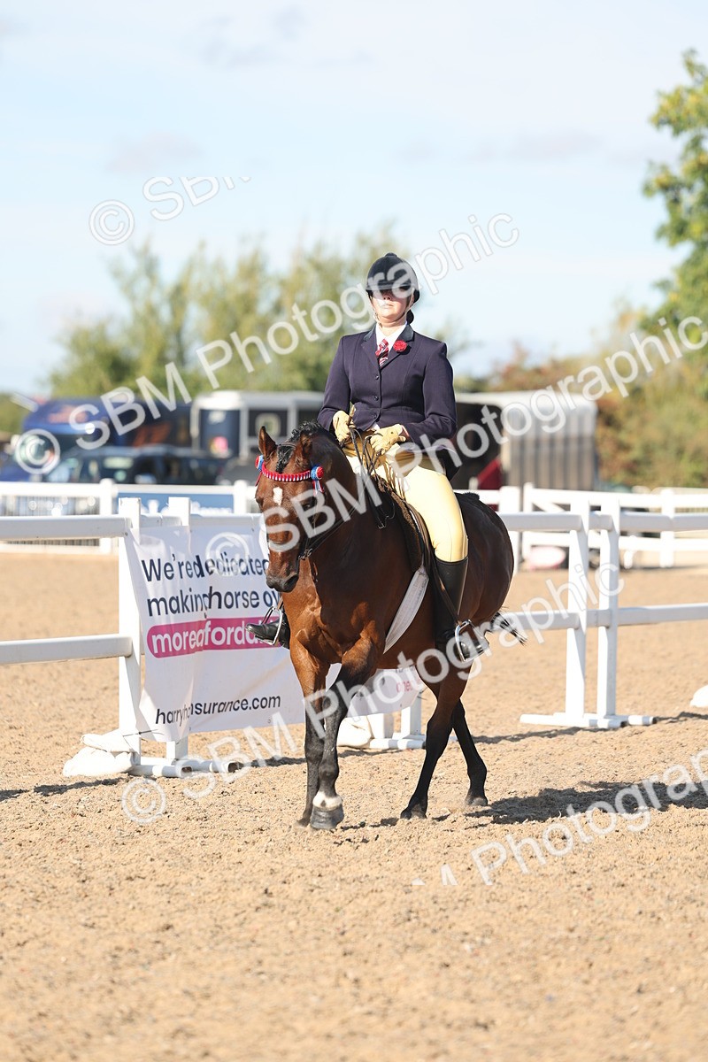 SBM_12339 - Class 304 - Ridden part Bred Horse Pony