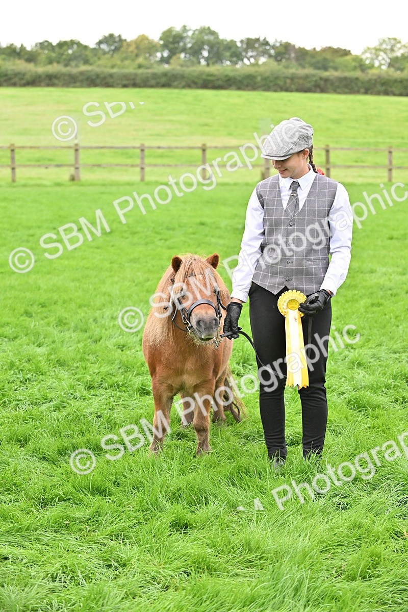 SBM_61089 - S48 - Mountain & Moorland In Hand Small Breeds