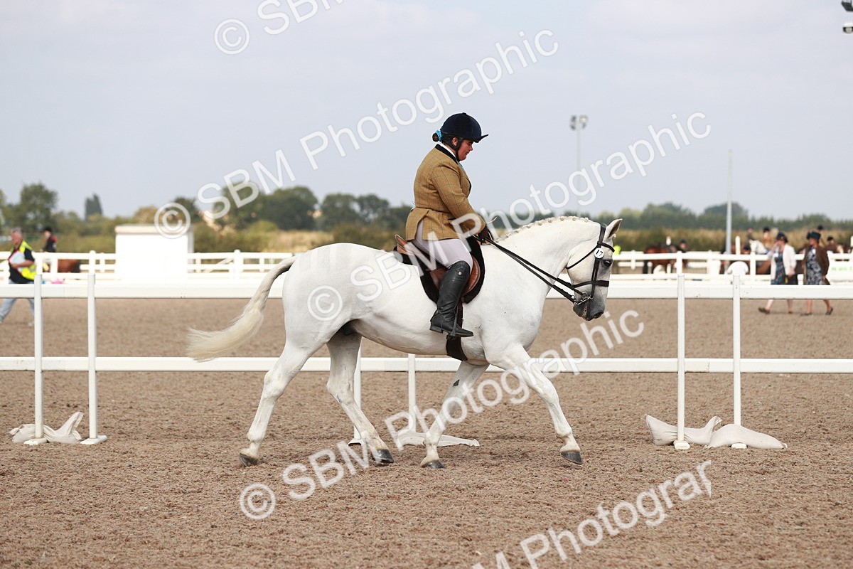 SBM_14802 - Class 212 Ridden Hunter - Small