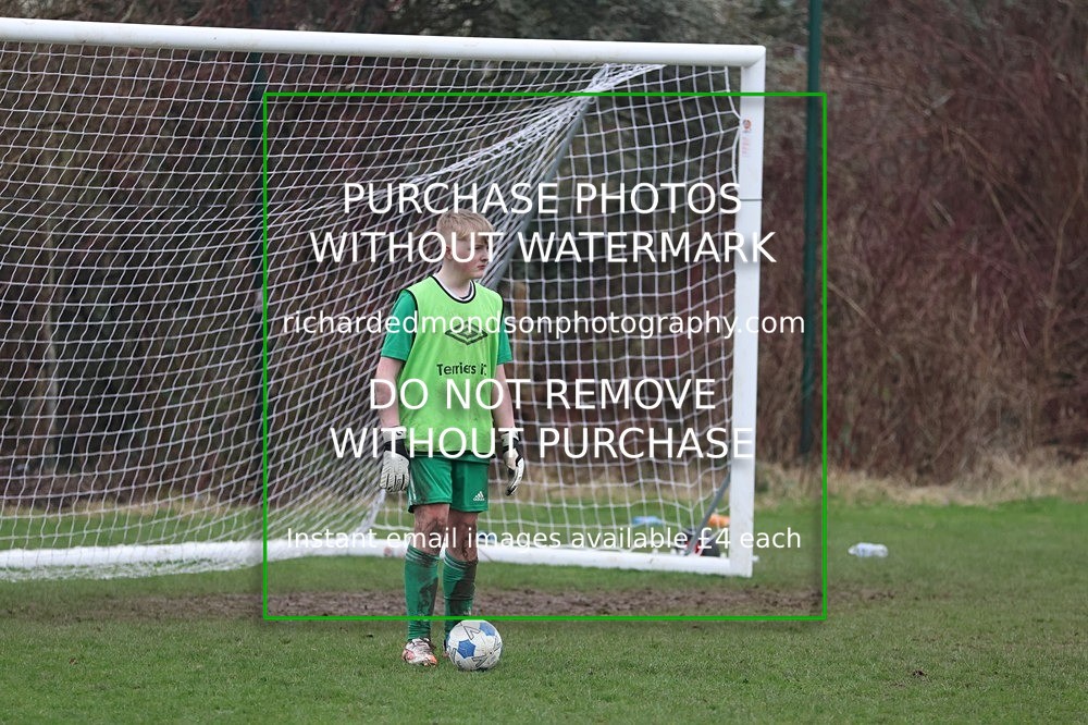 533A6656 - Lonsdale Terriers