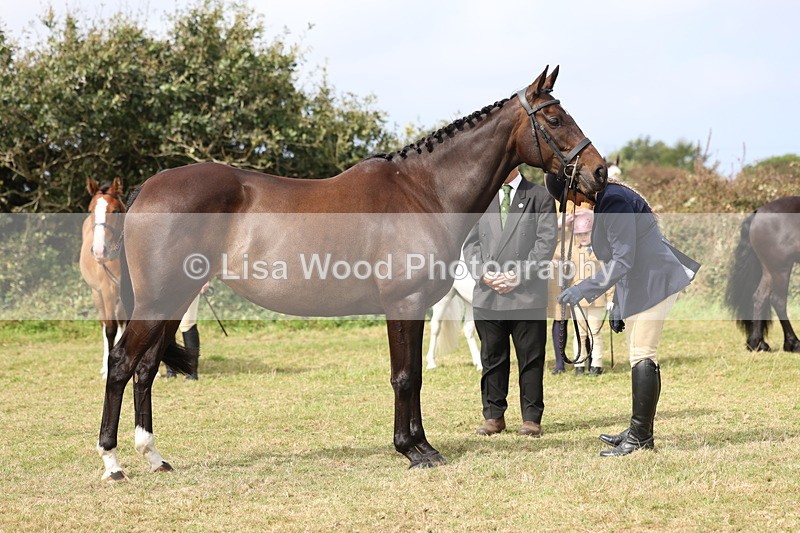 3E7A4740 - Class 16: Best Grass Kept