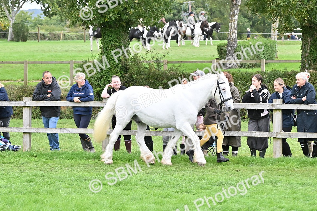 SBM_68575 - S42 - Junior Handler 9-12 Years