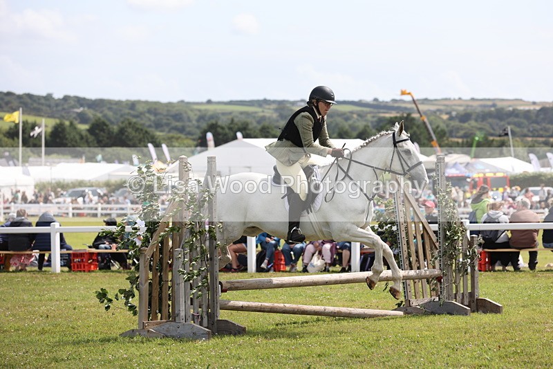 JPP_2084 - Class 19: Working Hunter 60cm