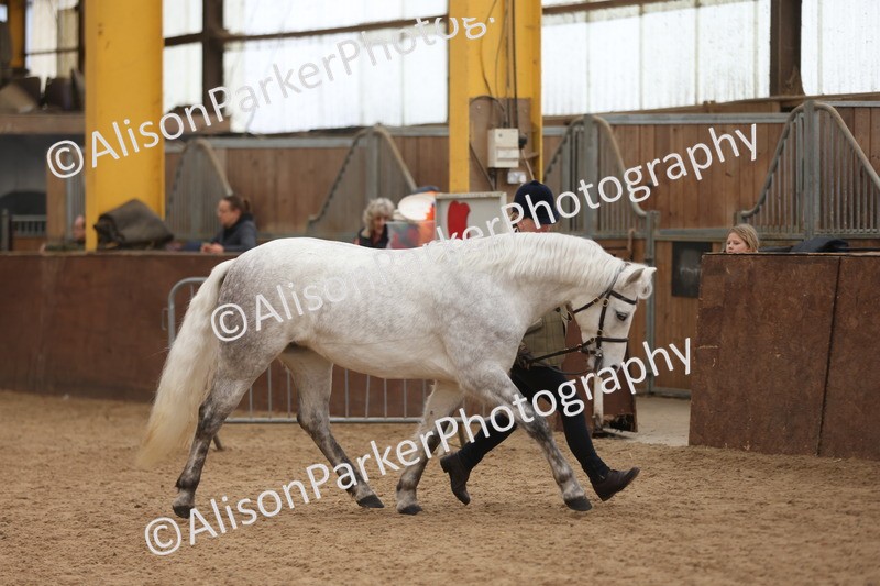 20251109-0897 - Class 26 - 2 and 4 Year Olds