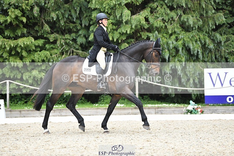 230525-152428-03245 - 326-GULLITH-Emily_Lochore-WEDTrotUp+DR