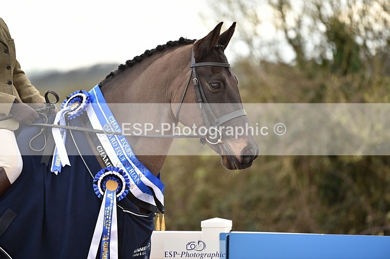 240303A-145114-00785 - Presentations