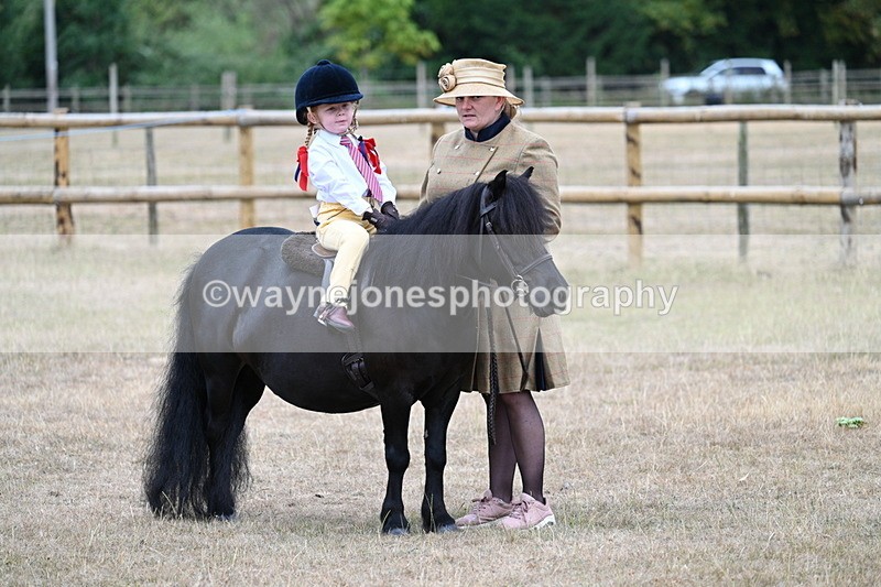 WJ7_8384 - Class 4 Prettiest Mare up to 14.2hh