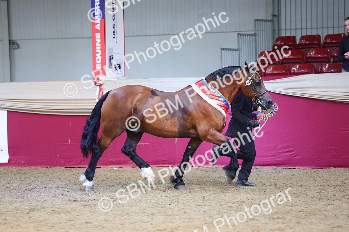 SBM_25025 - Grand Supreme Final Overall Champion