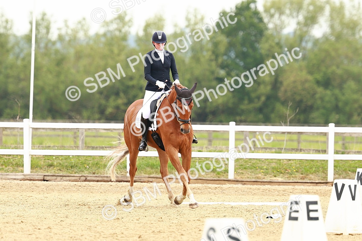 SBM_001233 - Class 6 - Novice 4
