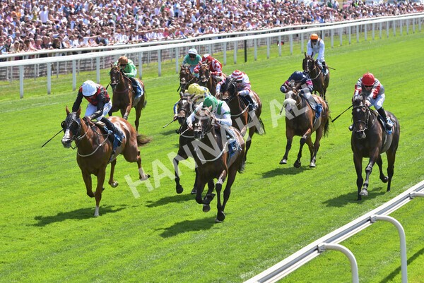 yr09072022r1-44 - Race 1 1.45pm John Smith's Racing Stakes