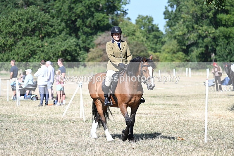 WJ7_3514 - Class 9 Mountain & Moorland Ridden