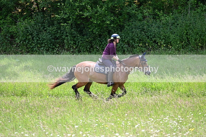 WJ7_8834 - Group 4 11am