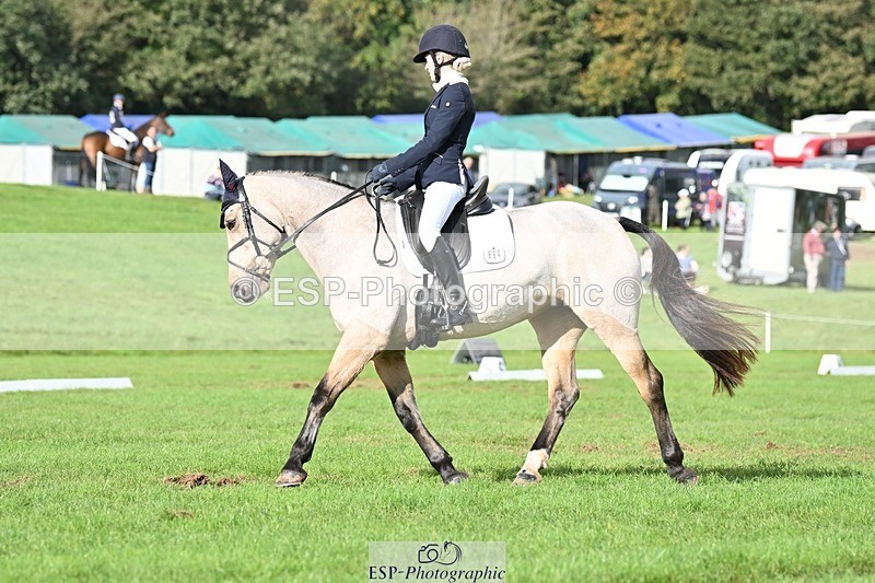 231020-141636-10864 - 664-TEMPLEMORE.WILD.ONE-Bella.Stevens-DR