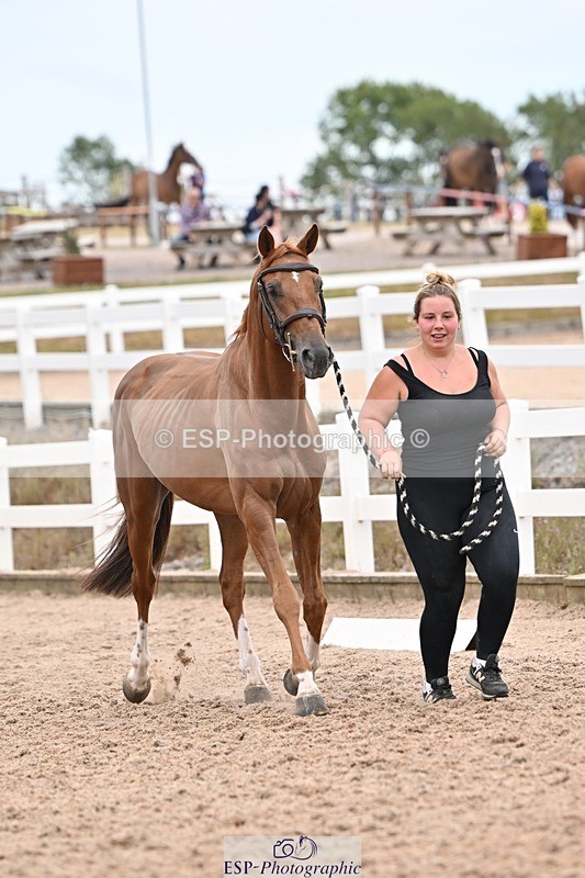 250716-160455-02397 - Trot Up 3.30 to 4.30