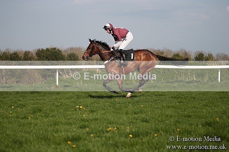 PtP 210418 575 - South & West Wilts Point-to-Point Larkhill 21/04/18