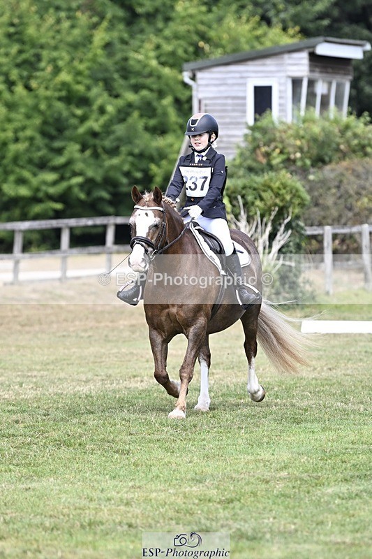 250821A-123033-15568 - DR 11.00 to 12.00