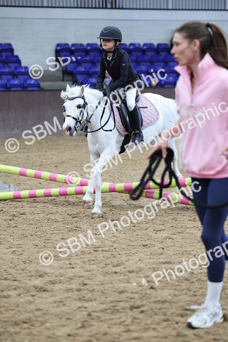 SBM_006957 - Class 1 - 40cm showjumping