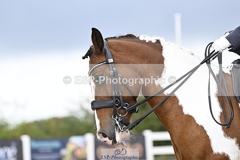 250907-164246-10742 - 112-Mel.DayDolderwydd.lucky.Maisie