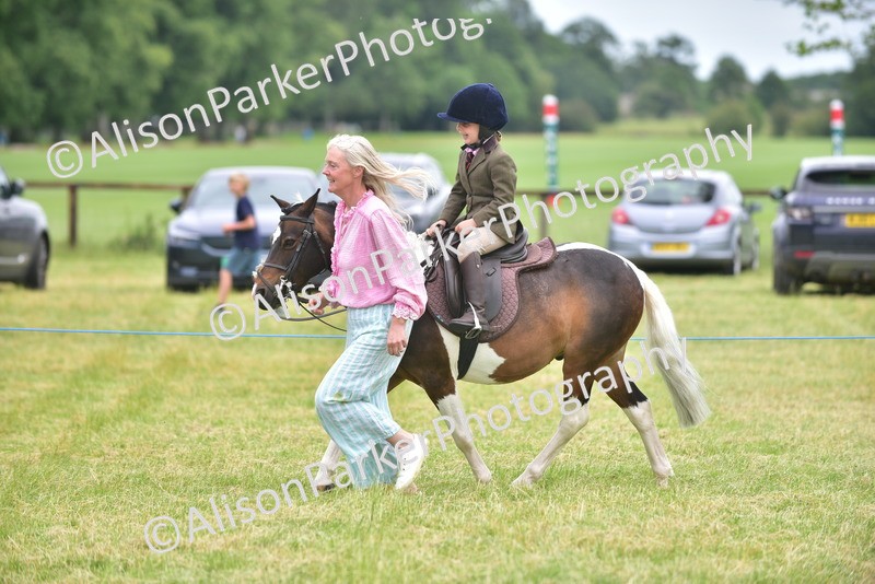 20260614-2693 - Class 13 - Pony Club Pony