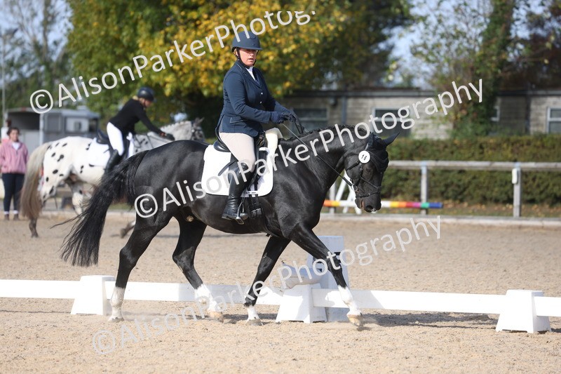 20261010-0612 - Class 5 - Novice 1
