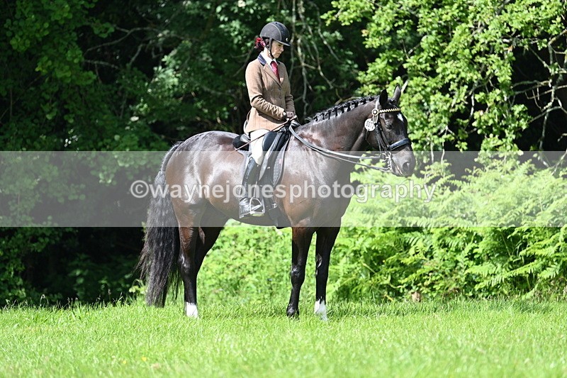 WJ7_1237 - Class 11 Condition & Turnout