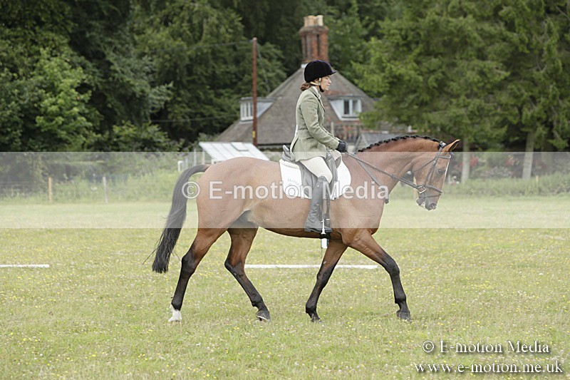 BVR160717-1411 - Class 3 Dressage 16/07/17
