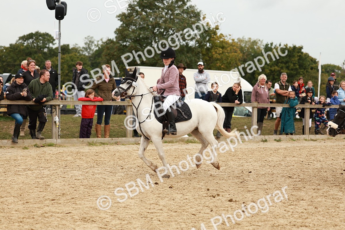 SBM_58139 - J11 - Junior Pony 50cm Championship