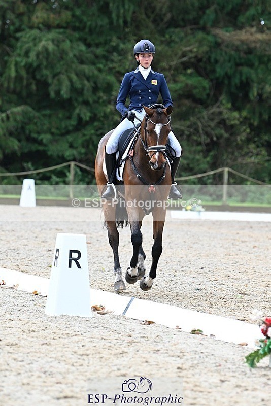 231019-122422-02750 - 044-COOLEY.ON.THE.CARDS-Charlotte.Cooke-DR