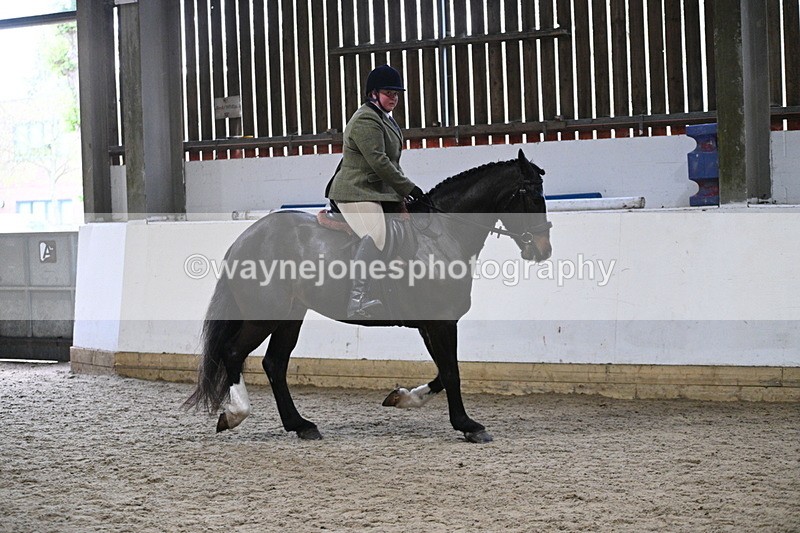 WJ7_3902 - Class 17 Ridden Cob
