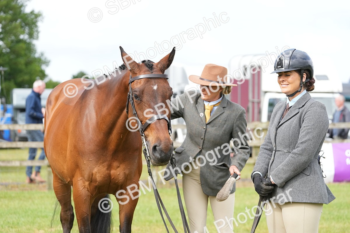 SBM_12758 - Class 97-98 - LIHS BSHA Rising Star Working Show Horse Hunter