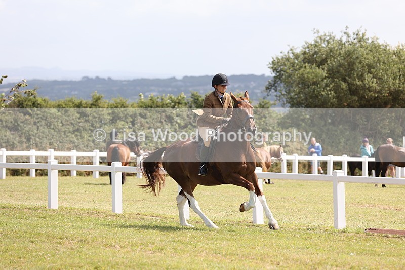 JPP_1386 - Class 17: Cornish Combination Open