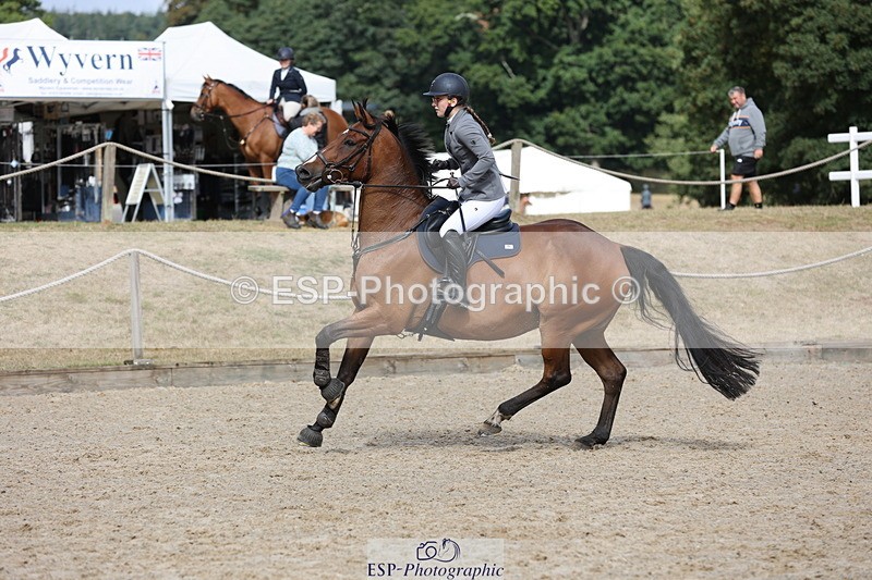 250829A-104042-01186 - Cls 7 British Novice and 90cm