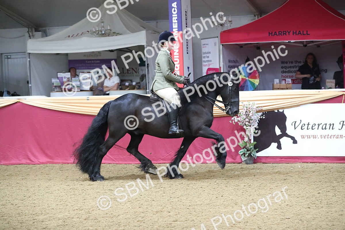 SBM_10472 - Class 102 Equitation (best rider) Adult