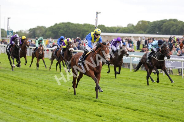 yr12052022r4-45 - Race 4 3.35pm Al Basti Equiworld Dubai Dante Stakes