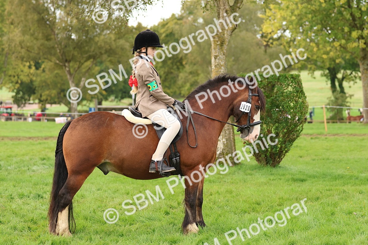 SBM_56695 - S40 - Starters Ridden Showing