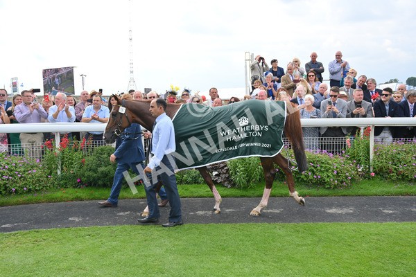yr20082021r2-110 - Race 2 2.25pm Weatherbys Hamilton Lonsdale Cup (British Champion Series race)