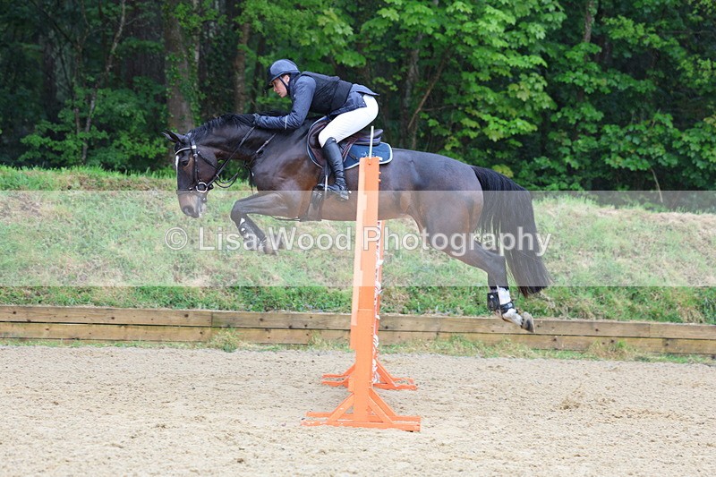3E7A7441 - Class 8: Senior Foxhunter/1.20 open