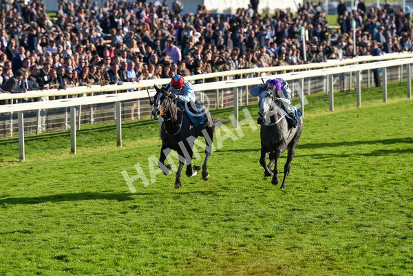 141023-Race 6-Punctuation-1492 - Race 6 4.10pm Coral Get Closer To The Action Handicap