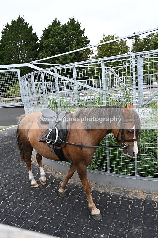 WJ6_2952 - Berks & Bucks - The Old farmhouse - Hound Exercise 20-08-25