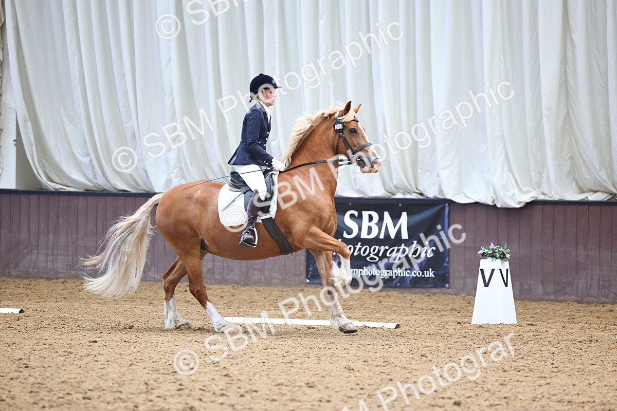 SBM_004845 - Class 2 - Prelim 4-5