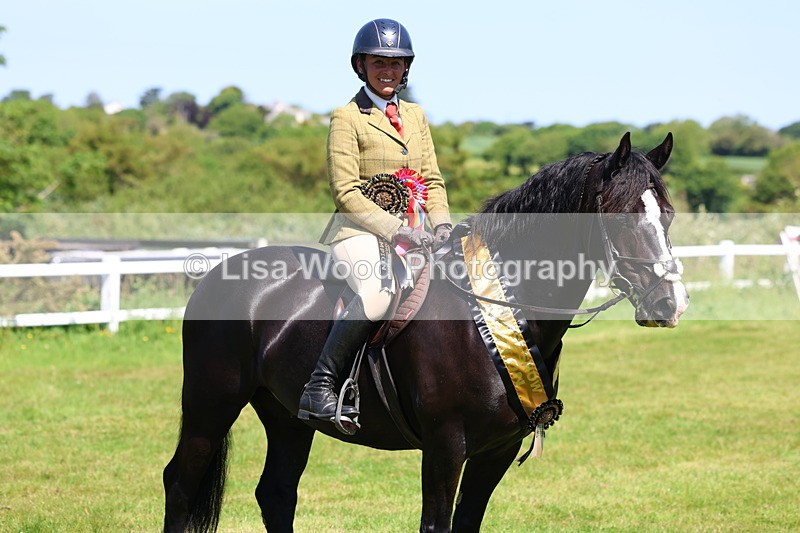 3E7A6815 - Working Hunter Pony Championship
