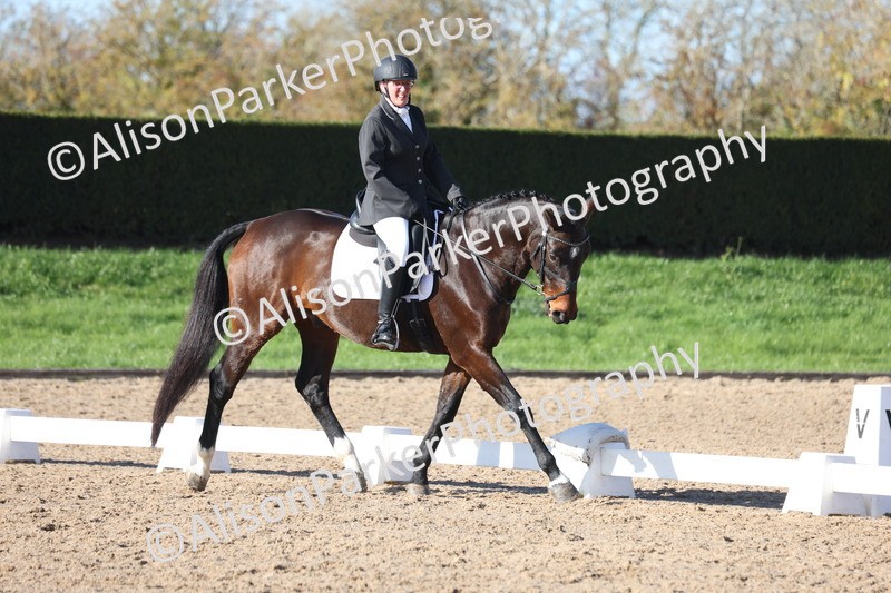 20251102-0676 - Class 4 - Novice 6