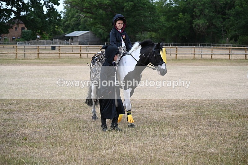 WJ6_8583 - Class 11 Fancy Dress